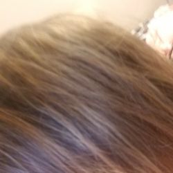 Highlights dnt go from top to bottom