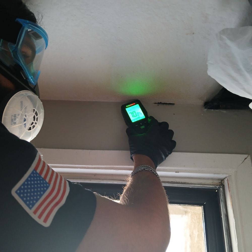 24H Mold Inspection - Home Inspectors Near Me - Los Angeles, California 24H Mold Inspection - Home Inspectors Near Me - Los Angeles, California