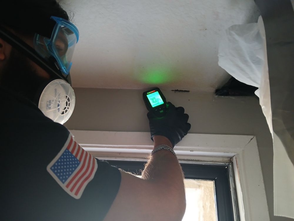 24H Mold Inspection - mold inspector in Los Angeles, CA