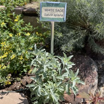 Santa Fe Botanical Garden - Botanical Gardens Near Me - Santa Fe, New Mexico Santa Fe Botanical Garden - Botanical Gardens Near Me - Santa Fe, New Mexico