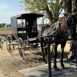 Amish Welcome Center - Wagon Tours - During one of the stops in Amish Country