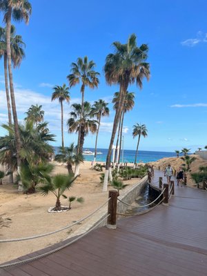 Chileno Bay Public Beach by null