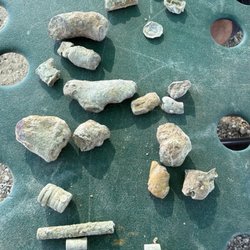 Mineral Wells Fossil Park