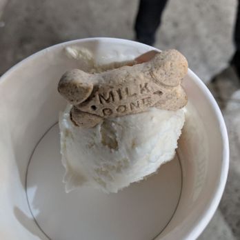Bruster's Real Ice Cream - Dog ice cream with a dog  bone - Ice Cream & Frozen Yogurt Near Me - Orange, California