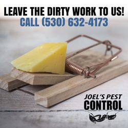 Joel's Pest Control - Say Goodbye to Rodents with Joel's Pest Control!