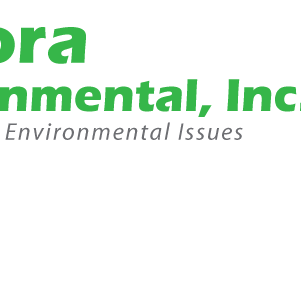 Slide of Aurora Environmental