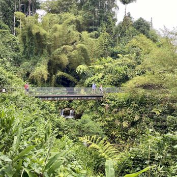 Akaka Falls State Park - Visitors crossing a pedestrian bridge above a small stream at Akaka Falls State Park - Parks Near Me - Honomu, Hawaii Akaka Falls State Park - Visitors crossing a pedestrian bridge above a small stream at Akaka Falls State Park - Parks Near Me - Honomu, Hawaii