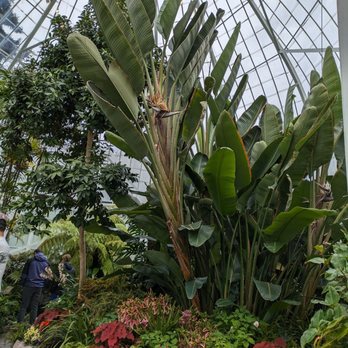 W W Seymour Conservatory - Botanical Gardens Near Me - Tacoma, Washington W W Seymour Conservatory - Botanical Gardens Near Me - Tacoma, Washington