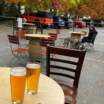 Postdoc Brewing - Breweries Near Me - Redmond, Washington