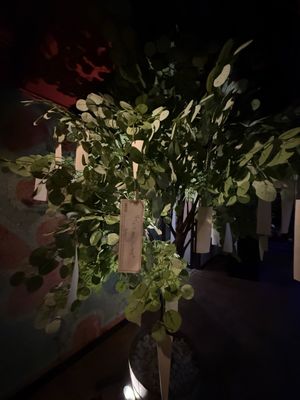 Singing Tiger by null