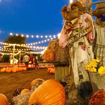 Hall's Pumpkin Farm - Blue hour - Pumpkin Patches Near Me - Grapevine, Texas Hall's Pumpkin Farm - Blue hour - Pumpkin Patches Near Me - Grapevine, Texas