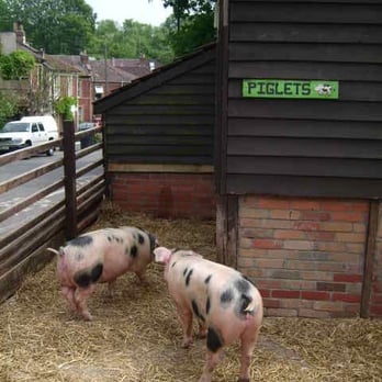 St Werburghs City Farm - Community Service/Non-Profit Near Me - Bristol, BST