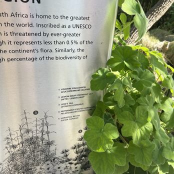 Salesforce Park - Parks Near Me - San Francisco, California