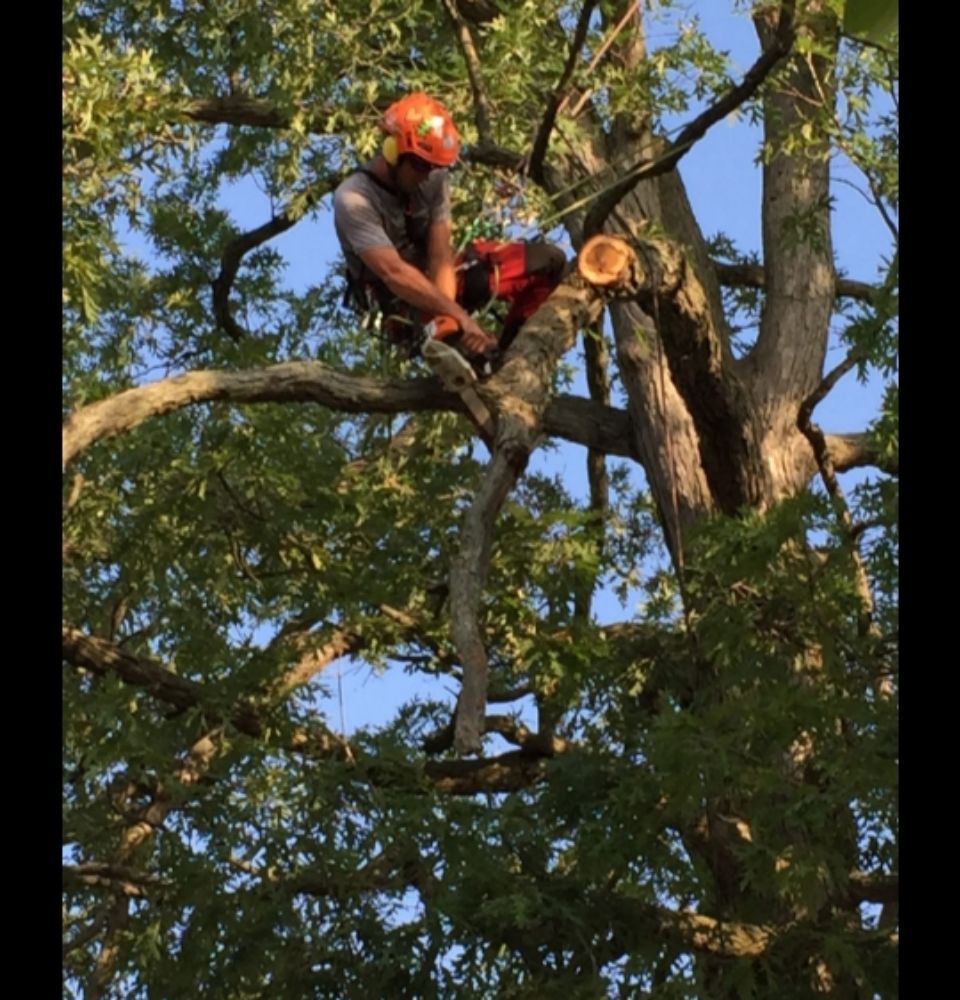 Slide of Pauls Concrete and Landscaping