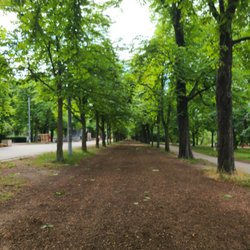 Prater Hauptallee