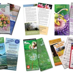 Alphagraphics Lisle/Naperville - Brochures