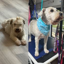 Before and after. Michelle worked her magic!