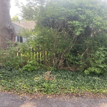 Yard Helpers of Columbus - Tree Services Near Me - Columbus, Ohio Yard Helpers of Columbus - Tree Services Near Me - Columbus, Ohio