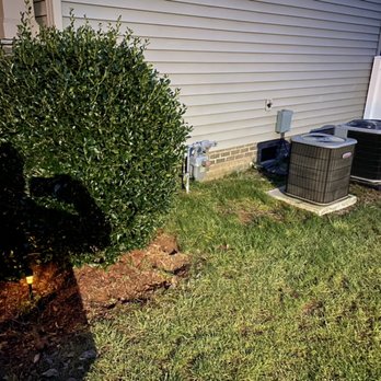 Cardinal Lawn Care - Before - Lawn Services Near Me