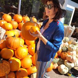 Great pumpkin selection Great pumpkin selection