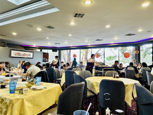 Hong Kong Garden Seafood • Dim Sum Cafe by null