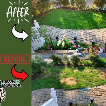 Lawn Doctor - Fall is the best time to renovate a lawn - Lawn Services Near Me Lawn Doctor - Fall is the best time to renovate a lawn - Lawn Services Near Me