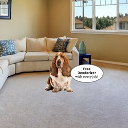 The Carpet Cleaners - Free deodorizer with every job!