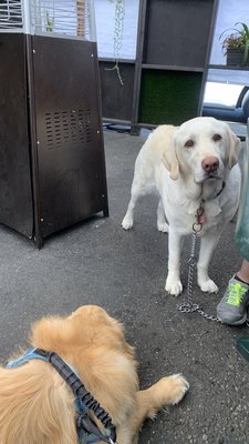 Vics All Star Kitchen by null