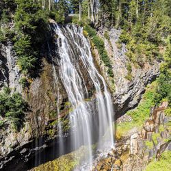 Narada Falls - Instagram: @telephonesmoothie