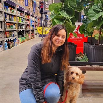 Doggo Self Wash - Mila and her mom's final day for puppy training - Pet Groomers Near Me - Shoreline, Washington