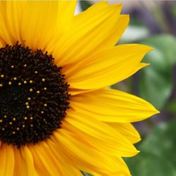 Nuri Coach Life and Spiritual Coaching