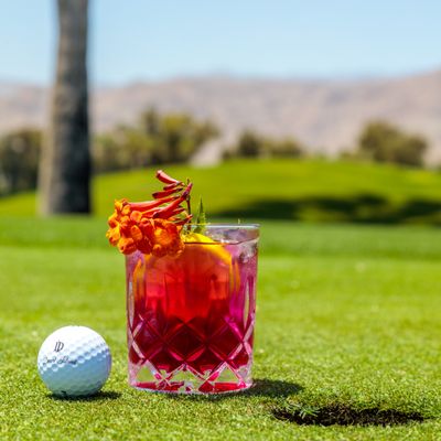 Desert Island Country Club by null