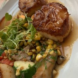 Scallop Scallop