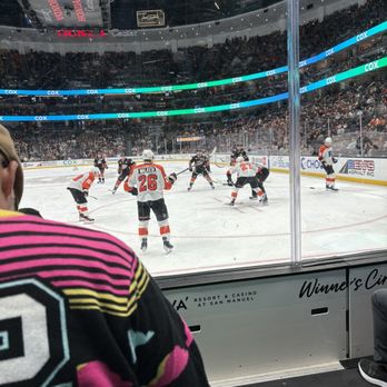 Anaheim Ducks - Professional Sports Teams Near Me - Anaheim, California