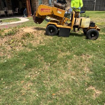 BDS Services - Tree Services Near Me - Arlington, Texas BDS Services - Tree Services Near Me - Arlington, Texas