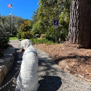 Devendorf Park - Memphis was very sad that he's not allowed to go in - Parks Near Me - Carmel-by-the-Sea, California Devendorf Park - Memphis was very sad that he's not allowed to go in - Parks Near Me - Carmel-by-the-Sea, California