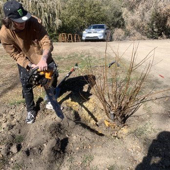 E&E Remodels - Tree stump removal - General Contractors Near Me