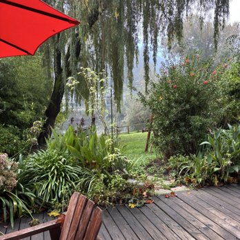 Inn on the Russian River - View from our deck - Hotels Near Me - Monte Rio, California Inn on the Russian River - View from our deck - Hotels Near Me - Monte Rio, California