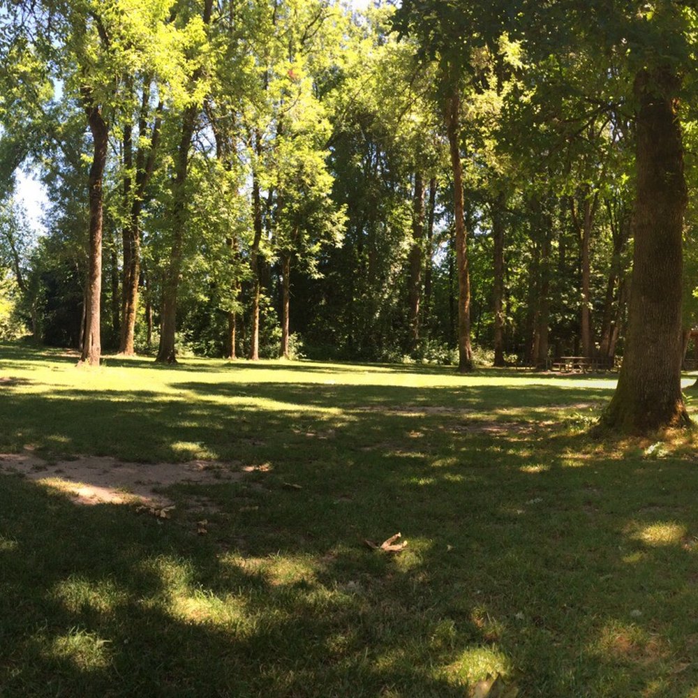 Cook Park - Parks Near Me - Tigard, Oregon