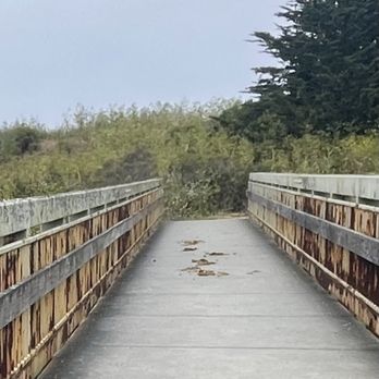 Bird Walk Coastal Access Trail - July 1, 2025 - Horses use this trail, too. - Parks Near Me - Bodega Bay, California Bird Walk Coastal Access Trail - July 1, 2025 - Horses use this trail, too. - Parks Near Me - Bodega Bay, California