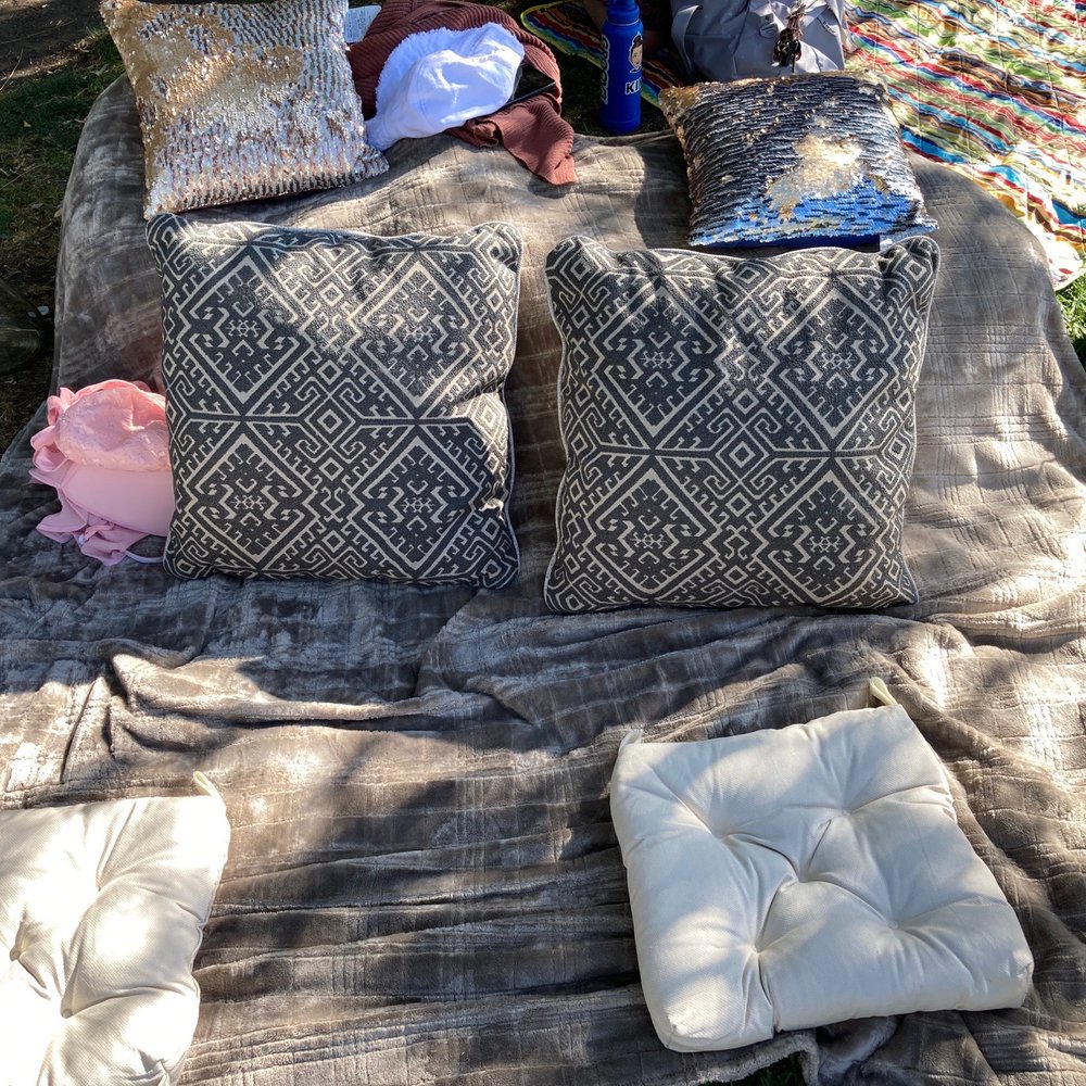 Picnic Date Ideas - Photo op location and just a place to relax - Party & Event Planning Near Me