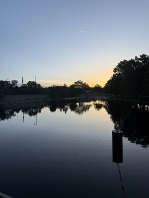 Cranes Roost Park by null