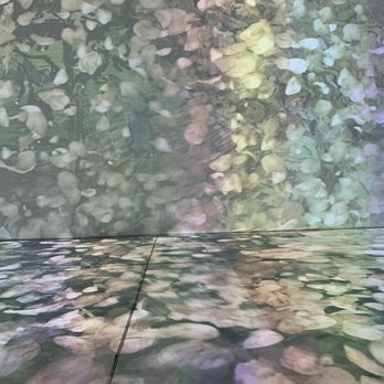 Beyond Van Gogh: the Immersive Experience - Art Installation Near Me - Albuquerque, New Mexico