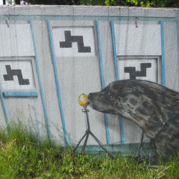 Robbencenter - seals are intelligent :o)) - Arts & Entertainment Near Me - Rostock, MV