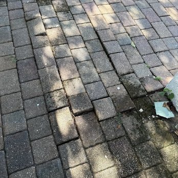 Tree Butcher - Lifted pavers before photo - Handyman Near Me - New Port Richey, Florida Tree Butcher - Lifted pavers before photo - Handyman Near Me - New Port Richey, Florida
