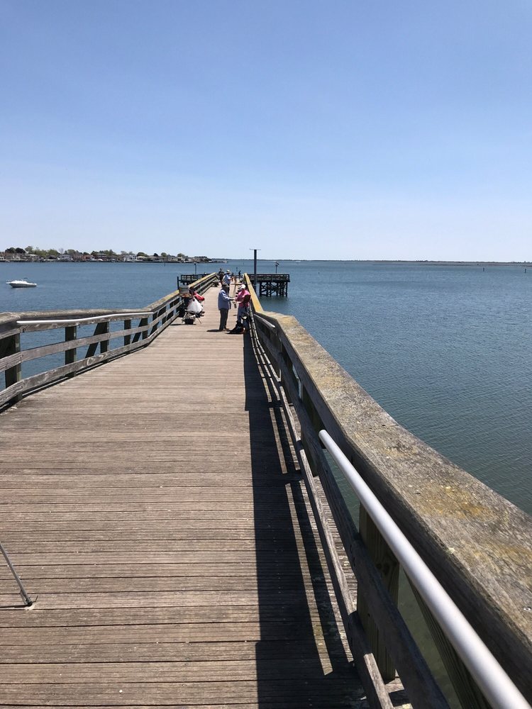 Norman J Levy Park & Preserve 294 Photos & 43 Reviews Parks 1600