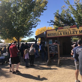 Mesilla Valley Maze - Entrance - Pumpkin Patches Near Me - Las Cruces, New Mexico