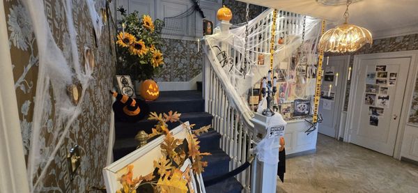 Alethea's Chocolates by null