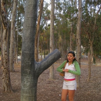 Stuart Collection - The Singing Tree - Art Galleries Near Me - La Jolla, California
