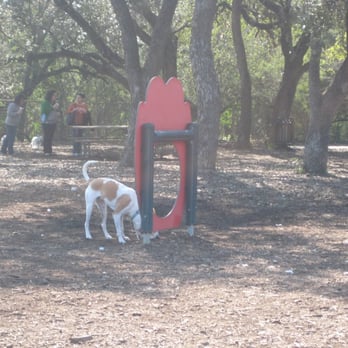 McAllister Park - some obstacle courses for dogs to play with - Parks Near Me - San Antonio, Texas McAllister Park - some obstacle courses for dogs to play with - Parks Near Me - San Antonio, Texas